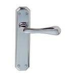 Eden Handle on Plate - Carlisle